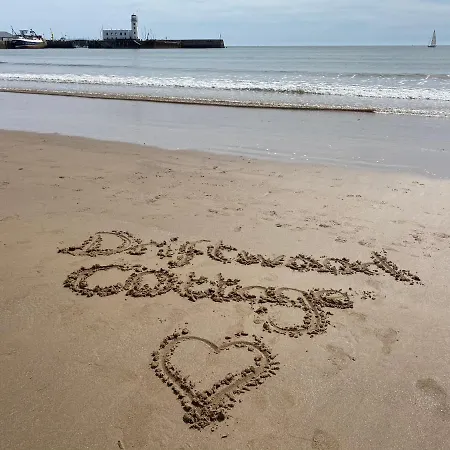 Driftwood 斯卡伯勒