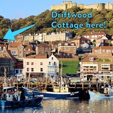 Driftwood * Scarborough